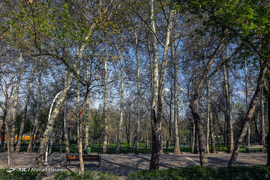 روز طبیعت/مشهد