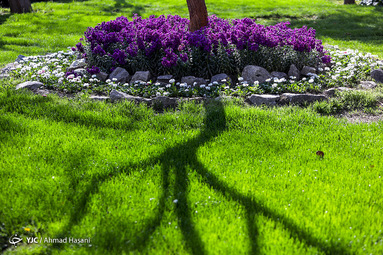 روز طبیعت/مشهد
