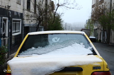 بارش برف در فصل بهار موجب سردی هوای پایتخت شد