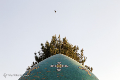 روز ملی عطار نیشابوری
