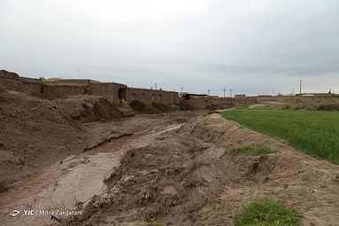 روستای قاسمی در بخش میان جلگه شهرستان نیشابور