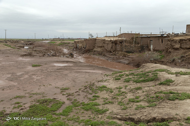 روستای قاسمی در بخش میان جلگه شهرستان نیشابور