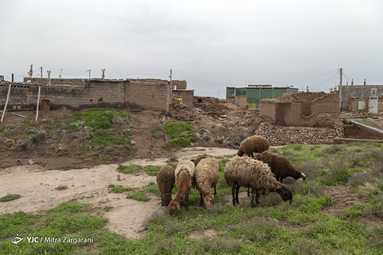 وستای قاسمی در بخش میان جلگه شهرستان نیشابور
