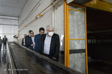 بازگشت شرکت مرغ ری تیهو به چرخه تولید