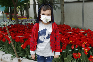 لاله‌ای برای مادران
