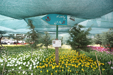 لاله‌ای برای مادران
