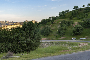 سد چم گردلان شهرستان ملکشاهی‎
آب شرب بخش عمده ای از شهرستان ایلام را برعهده دارد؛همچنین باتوجه به طبیعت زیبا و هوای مطبوع منطقه؛ پذیرای گردشگران می باشد