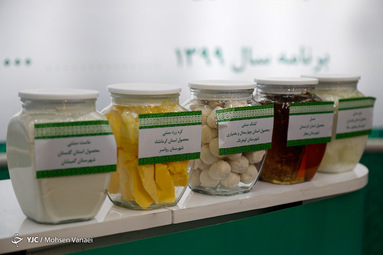 رزمایش همدلی برکت