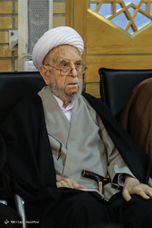 تصاویر آیت الله امینی