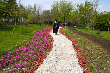 شهر تبریز در بهار سرشار از زیبایی و لطافت شده و خلوتی شهر در دوران فاصله گذاری هوشمند بعد از شیوع کرونا ویروس مشهود است
