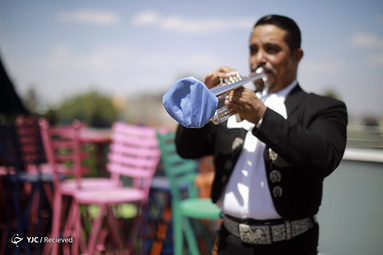 یک موسیقیدان به همراه گروه Mariachi در مکزیکو سیتی، مکزیک