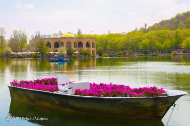 طبیعت بهاری تبریز‎