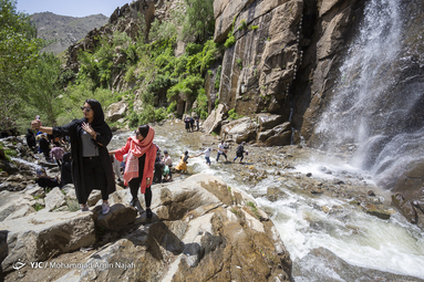 وضعیت کرونایی گنجنامه همدان