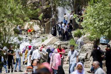 وضعیت کرونایی گنجنامه همدان