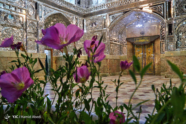 آیین خطبه خوانی خادمان حرم حضرت معصومه (س)