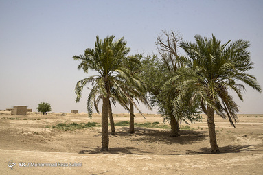 غِیزانیه، روستای تشنه از آب و سرشار از نفت
