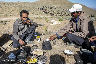 زندگی عشایر استان فارس