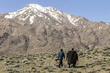 زندگی عشایر استان فارس