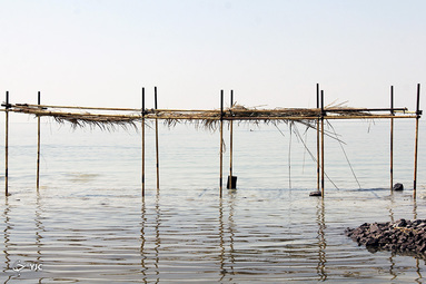 حال خوب دریاچه ارومیه