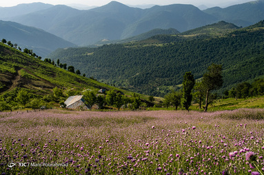 گردنه الماس در ۲۵کیلومتری خلخال با رویش گل‌های شقایق وحشی گردشگران و علاقه‌مندان طبیعت را به سمت خود جذب می‌کند