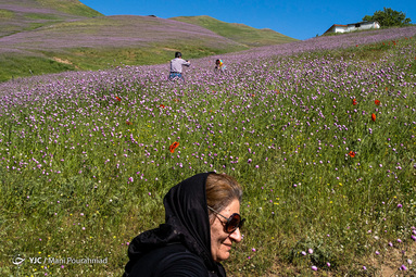 گردنه الماس در ۲۵کیلومتری خلخال با رویش گل‌های شقایق وحشی گردشگران و علاقه‌مندان طبیعت را به سمت خود جذب می‌کند