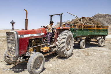 کودکان کار در تهران
