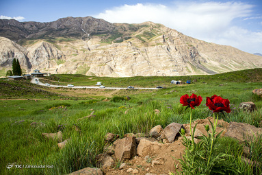 ایرانِ ما؛ دشت لار‎