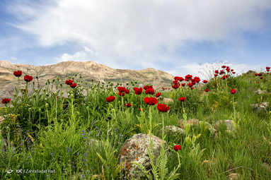 ایرانِ ما؛ دشت لار‎