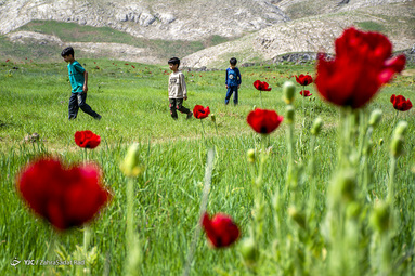 ایرانِ ما؛ دشت لار‎