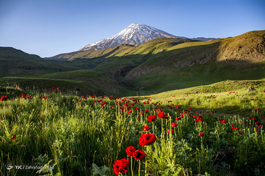 ایرانِ ما؛ دشت لار‎