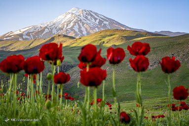 ایرانِ ما؛ دشت لار‎