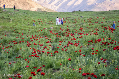 ایرانِ ما؛ دشت لار‎