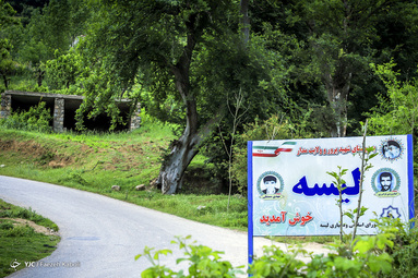 آماده سازی پیله ابریشم در گلستان
