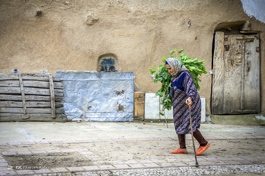 آماده سازی پیله ابریشم در گلستان