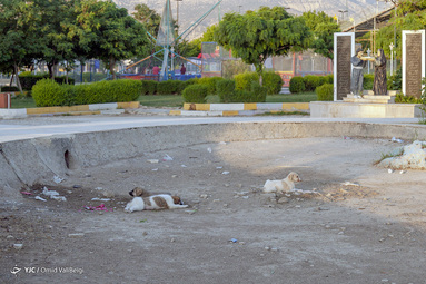 تعطیلی شهربازی چغاسبز