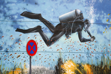 کیش