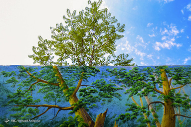 تبریز