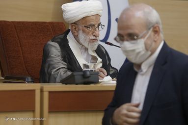 آیت‌الله جنتی، دبیر شورای نگهبان در حاشیه دیدار اعضای هیئت رئیسه مجلس