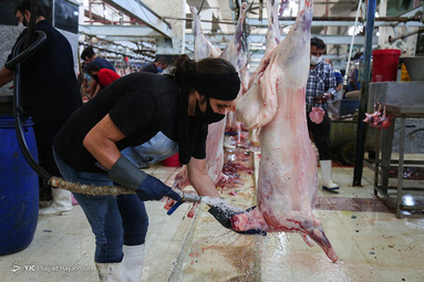 ذبح دام در روز عید قربان