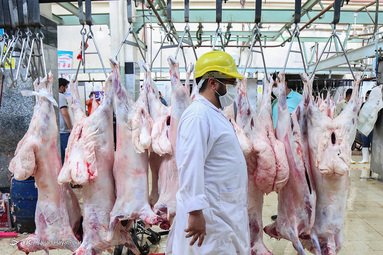 ذبح دام در روز عید قربان