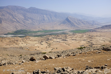 برداشت انار - «ده حوض» ایذه - خوزستان