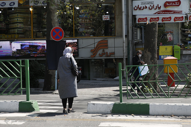 تیغ جفا بر جان درختان کهنسال خیابان ولیعصر تهران