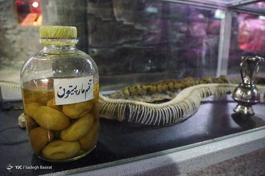 باغ خزندگان اصفهان