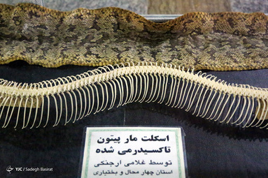 باغ خزندگان اصفهان
