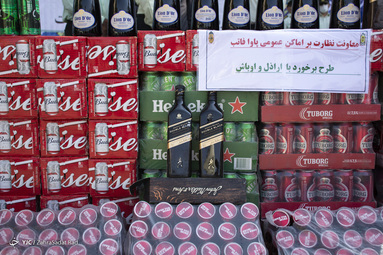 دستگیری ۳۸۹ نفر از اراذل و اوباش تهران