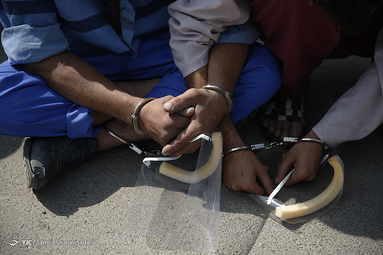 سی و هشتمین طرح رعد