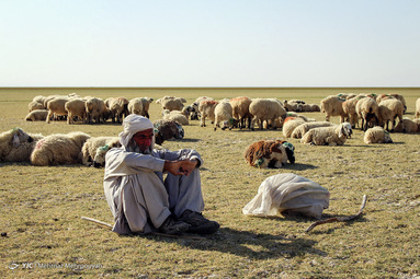 به مناسبت روز روستا و عشایر - سیستان و بلوچستان