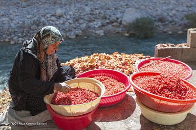در اواخر آبان ماه هر سال و بر اساس سنت دیرینه ناردنگ، زنان بختیاری در روستای دورک اناری، دیگ‌های رب انار پزی خود را بار می‌گذارند