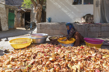در اواخر آبان ماه هر سال و بر اساس سنت دیرینه ناردنگ، زنان بختیاری در روستای دورک اناری، دیگ‌های رب انار پزی خود را بار می‌گذارند