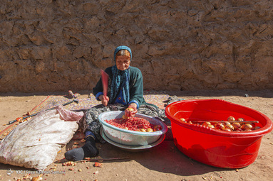 در اواخر آبان ماه هر سال و بر اساس سنت دیرینه ناردنگ، زنان بختیاری در روستای دورک اناری، دیگ‌های رب انار پزی خود را بار می‌گذارند